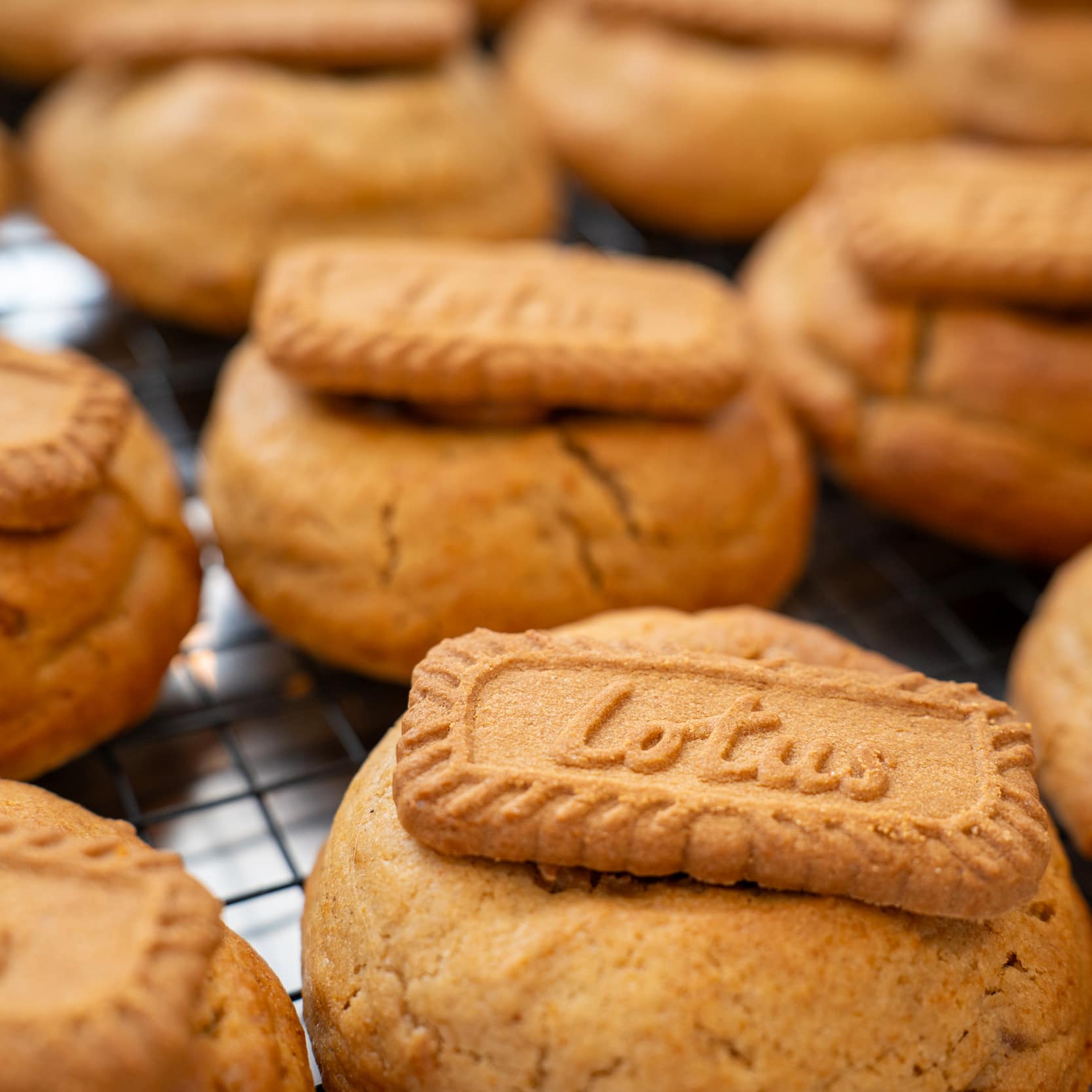 biscoff cookies